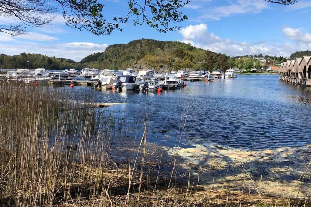 Mandal Apartment Mit Moeglichkeit Ein Boot Zu Benutzen Und Angeln Eksteriør billede